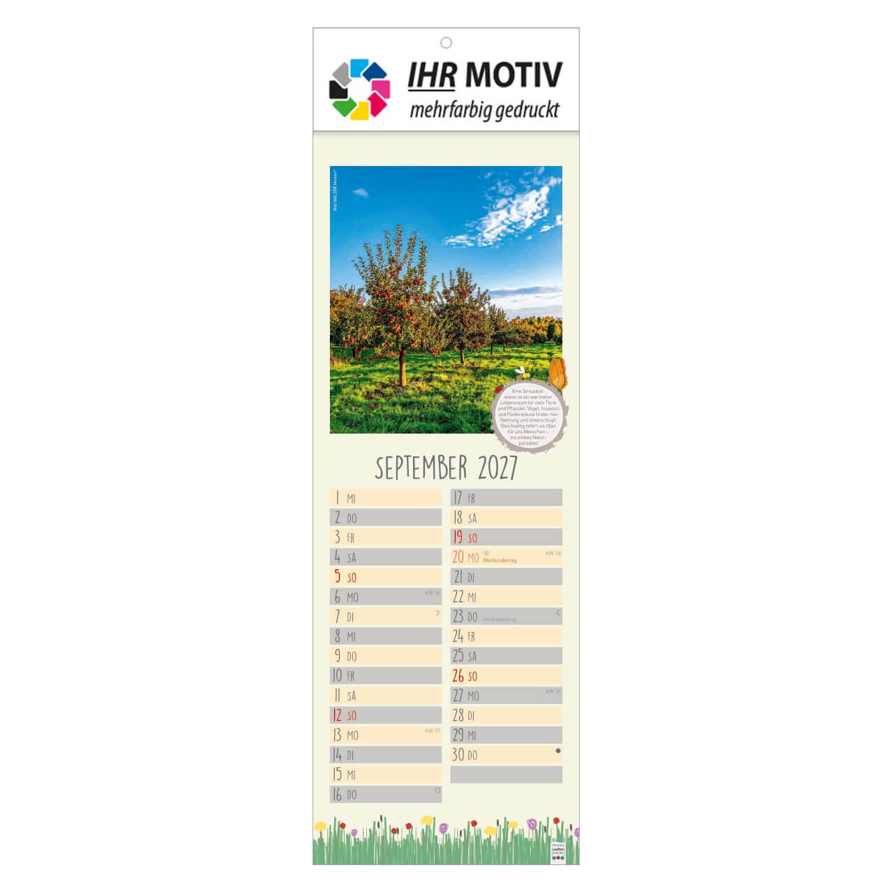 /customers_pics/593/artikel/1112115307/Naturnah_2027_Ihr Motiv_138-2027_IhreWerbung-a_9.jpg